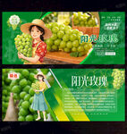阳光玫瑰展板