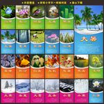 二十四节气