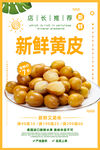 黄皮