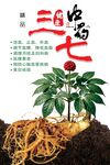 三七