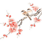 手绘花鸟