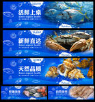 海鲜灯箱