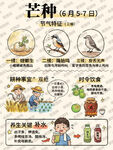 24节气之芒种