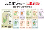 中草药大全之活血调经