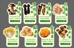 多样菌类食材展示