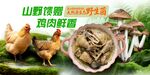 野生菌炖土鸡