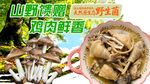 鸡枞炖鸡
