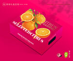 春见包装 耙耙柑礼盒