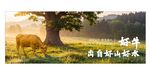 山野风餐饮灯箱海报挂画