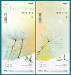 白露寒露树叶露珠海报