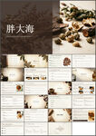 护嗓神果胖大海茶PPT
