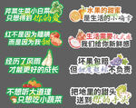 蔬菜水果吊牌