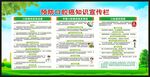 世界口腔健康日宣传栏