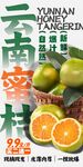 云南蜜桔 