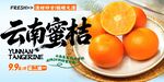 云南蜜桔