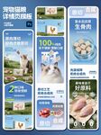 宠物狗粮猫粮热卖电商详情页