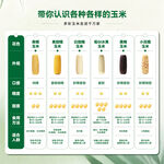 认识各种各样的玉米品种