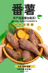 番薯