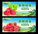 树莓