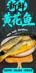 新鲜黄花鱼 