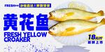 新鲜黄花鱼