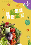 蔬菜海报