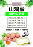 山鸡蛋