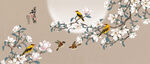 玉兰花