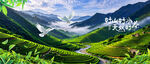 梯田