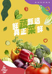 蔬菜海报