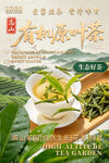 高山有机原叶茶宣传海报