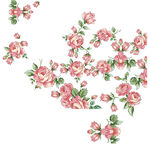 玫瑰花