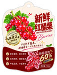 新鲜红醋栗包装设计