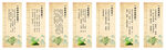 中药药材石斛介绍展板