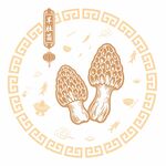 羊肚菌