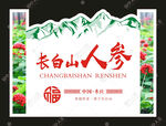 长白山人参