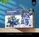 蓝莓包装