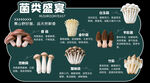 菌类盛宴科普图鉴
