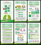 结核病防治