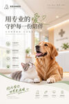 爱宠动物医院海报