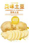 土豆
