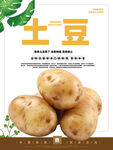 土豆