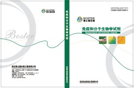 生物科技公司画册封面1