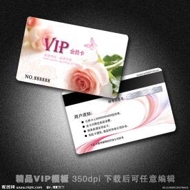VIP模板 vip 精品VIP vip卡 美容卡 美容VIP