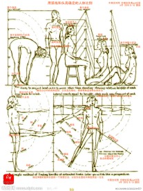 用弧线和头高确定人体比例中英文对照 (全镂空psd分层)