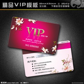 VIP模板 vip 精品VIP vip卡 vip模板 会员卡