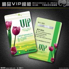 VIP模板 vip 精品VIP vip卡 美容卡 美容VIP