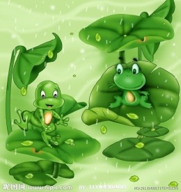 可爱的青蛙