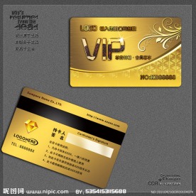 金色高档VIP模板