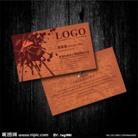 砖红色 昆虫研究中心名片设计